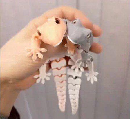 Esnek Kertenkele (Gecko)