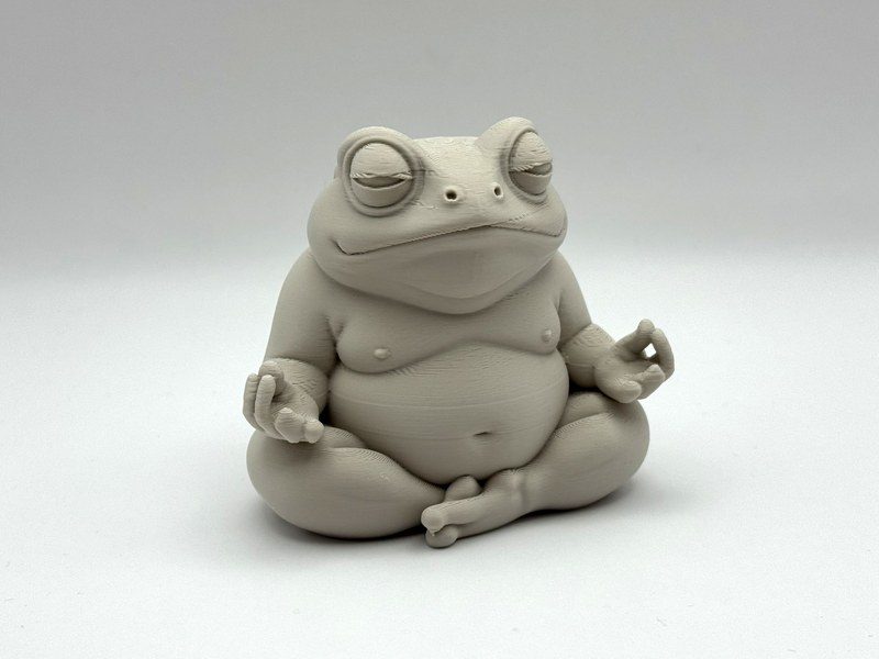 Meditasyon Yapan Tombul Kurbağa