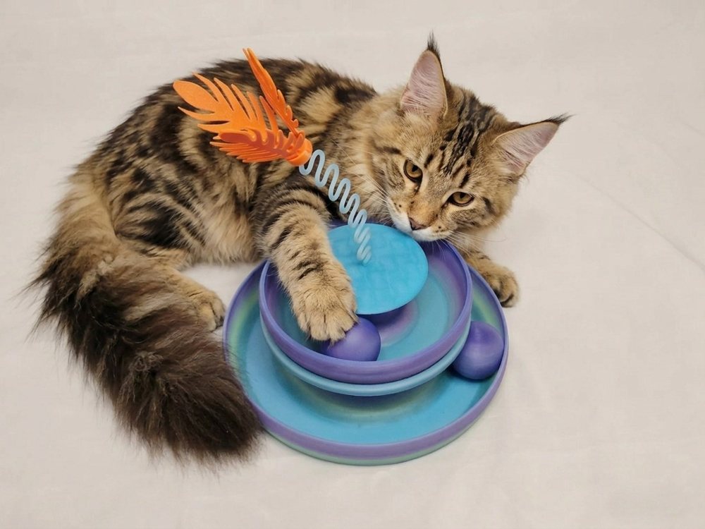 Dönen Tabla Kedi Oyuncağı